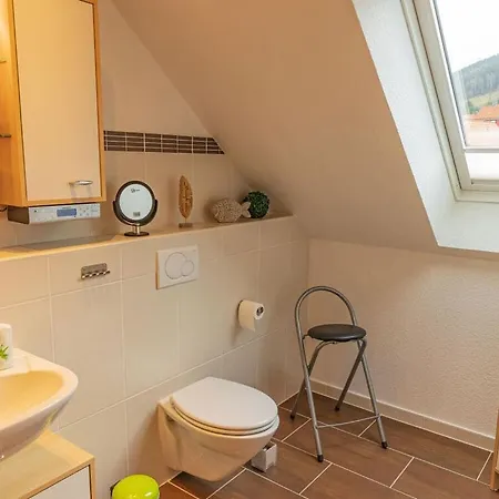 Mountain View Apartment Lautenthal