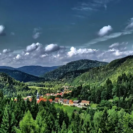 Apartamento Mountain View Lautenthal