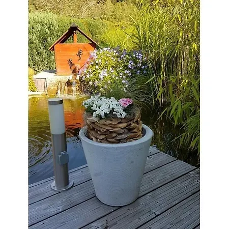 Apartamento Mountain View Lautenthal